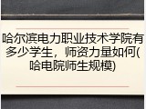 哈尔滨电力职业技术学院有多少学生，师资力量如何(哈电院师生规模)