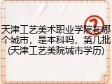 天津工艺美术职业学院在哪个城市，是本科吗，第几批(天津工艺美院城市学历)