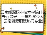 云南能源职业技术学院什么专业最好，一年招多少人(云南能源职院热门专业)