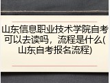 山东信息职业技术学院自考可以去读吗，流程是什么(山东自考报名流程)