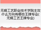 无锡工艺职业技术学院主攻什么方向有哪些王牌专业(无锡工艺王牌专业)
