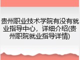 贵州职业技术学院有没有就业指导中心，详细介绍(贵州职院就业指导详情)