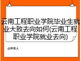 云南工程职业学院毕业生就业大致去向如何(云南工程职业学院就业去向)