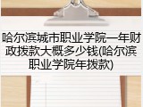 哈尔滨城市职业学院一年财政拨款大概多少钱(哈尔滨职业学院年拨款)