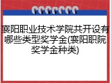 襄阳职业技术学院共开设有哪些类型奖学金(襄阳职院奖学金种类)
