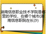 湖南信息职业技术学院是哪里的学校，在哪个城市(湖南信息职院在长沙)