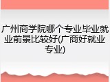 广州商学院哪个专业毕业就业前景比较好(广商好就业专业)