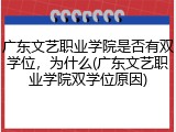 广东文艺职业学院是否有双学位，为什么(广东文艺职业学院双学位原因)