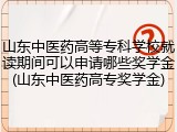山东中医药高等专科学校就读期间可以申请哪些奖学金(山东中医药高专奖学金)