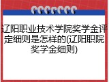 辽阳职业技术学院奖学金评定细则是怎样的(辽阳职院奖学金细则)