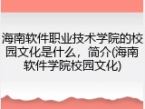 海南软件职业技术学院的校园文化是什么，简介(海南软件学院校园文化)