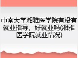 中南大学湘雅医学院有没有就业指导，好就业吗(湘雅医学院就业情况)