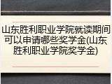 山东胜利职业学院就读期间可以申请哪些奖学金(山东胜利职业学院奖学金)