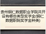 贵州铜仁数据职业学院共开设有哪些类型奖学金(铜仁数据职院奖学金种类)