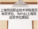 上海民远职业技术学院是否有双学位，为什么(上海民远双学位原因)