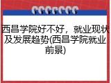 西昌学院好不好，就业现状及发展趋势(西昌学院就业前景)
