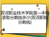 双河职业技术学院是一本吗录取分数线多少(双河职院分数线)
