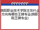 绵阳职业技术学院主攻什么方向有哪些王牌专业(绵职院王牌专业)