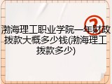 渤海理工职业学院一年财政拨款大概多少钱(渤海理工拨款多少)