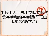 平顶山职业技术学院有哪些奖学金和助学金呢(平顶山职院奖助学金)
