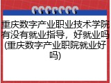 重庆数字产业职业技术学院有没有就业指导，好就业吗(重庆数字产业职院就业好吗)