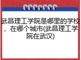 武昌理工学院是哪里的学校，在哪个城市(武昌理工学院在武汉)