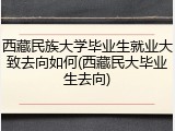 西藏民族大学毕业生就业大致去向如何(西藏民大毕业生去向)