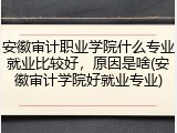 安徽审计职业学院什么专业就业比较好，原因是啥(安徽审计学院好就业专业)