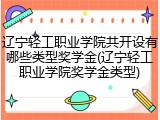 辽宁轻工职业学院共开设有哪些类型奖学金(辽宁轻工职业学院奖学金类型)