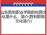 山东胜利职业学院的校园文化是什么，简介(胜利职院文化简介)