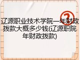 辽源职业技术学院一年财政拨款大概多少钱(辽源职院年财政拨款)