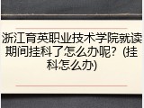 浙江育英职业技术学院就读期间挂科了怎么办呢？(挂科怎么办)