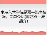 南京艺术学院是双一流高校吗，简单介绍(南艺双一流简介)