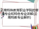 云南特殊教育职业学院的普通专业和特色专业详解(云南特教专业解析)