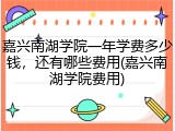 嘉兴南湖学院一年学费多少钱，还有哪些费用(嘉兴南湖学院费用)