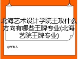北海艺术设计学院主攻什么方向有哪些王牌专业(北海艺院王牌专业)