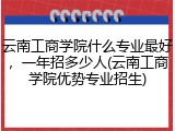 云南工商学院什么专业最好，一年招多少人(云南工商学院优势专业招生)