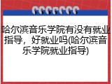哈尔滨音乐学院有没有就业指导，好就业吗(哈尔滨音乐学院就业指导)