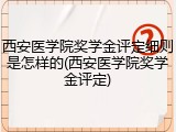 西安医学院奖学金评定细则是怎样的(西安医学院奖学金评定)