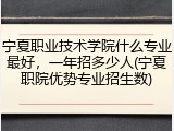 宁夏职业技术学院什么专业最好，一年招多少人(宁夏职院优势专业招生数)