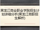 黑龙江商业职业学院招生计划详细分析(黑龙江商职招生解析)