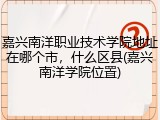 嘉兴南洋职业技术学院地址在哪个市，什么区县(嘉兴南洋学院位置)