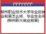 柳州职业技术大学毕业后就业前景怎么样，毕业生去向(柳州职大就业前景)