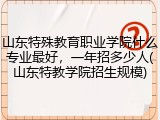 山东特殊教育职业学院什么专业最好，一年招多少人(山东特教学院招生规模)