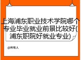 上海浦东职业技术学院哪个专业毕业就业前景比较好(浦东职院好就业专业)