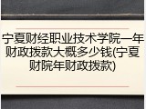 宁夏财经职业技术学院一年财政拨款大概多少钱(宁夏财院年财政拨款)