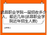 武昌职业学院一届招收多少人，最近几年(武昌职业学院近年招生人数)