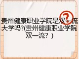 贵州健康职业学院是双一流大学吗?(贵州健康职业学院双一流？)