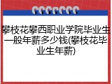 攀枝花攀西职业学院毕业生一般年薪多少钱(攀枝花毕业生年薪)