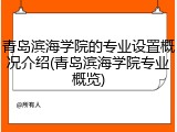 青岛滨海学院的专业设置概况介绍(青岛滨海学院专业概览)